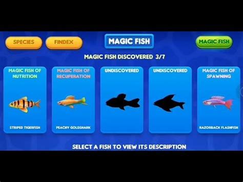 Fish tycoon magic fish breeddng chart